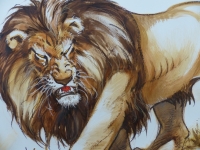 Strasbulles 2018 : grands dessins