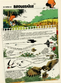 N&deg; 16 - Vols d'oiseaux