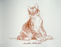 La panth&egrave;re n&eacute;buleuse, jeune