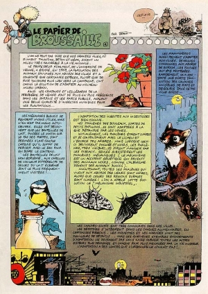 N&deg; 04 - Animaux urbains