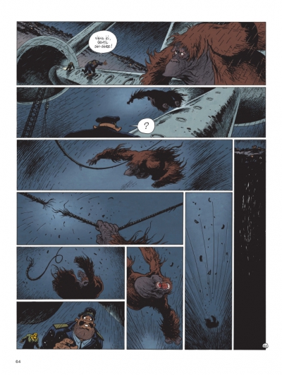 Planche 60 de la lumi&egrave;re de Born&eacute;o