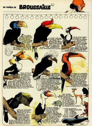 N&deg; 22 - Becs d'oiseaux
