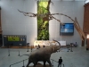2009-05 Fresque Dessine-moi les animaux du Mus&eacute;um&hellip;