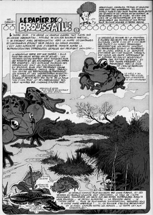 N&deg; 13 - Batraciens